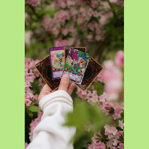 Mtg proxy